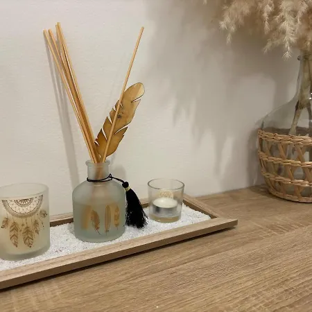 Cocoon Cosy 2 Chambres, Terrasse Et Clim Agde