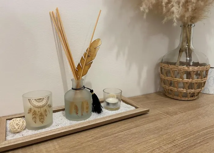 Cocoon Cosy 2 Chambres, Terrasse Et Clim Agde